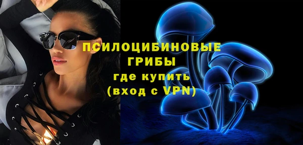 apvp Семёнов