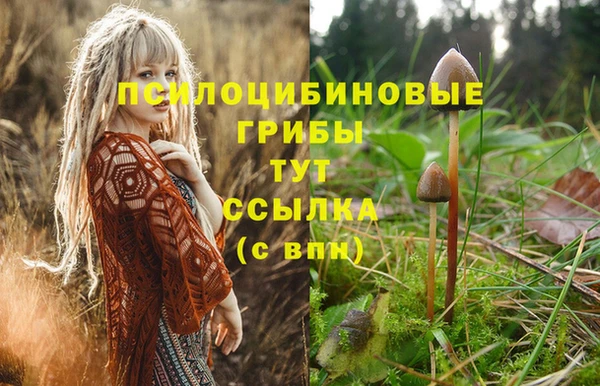 скорость mdpv Алзамай