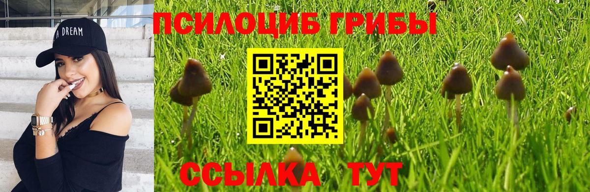 Псилоцибиновые грибы GOLDEN TEACHER  Псилоцибиновые грибы Psilocybine cubensis  Белорецк  Вход с VPN 